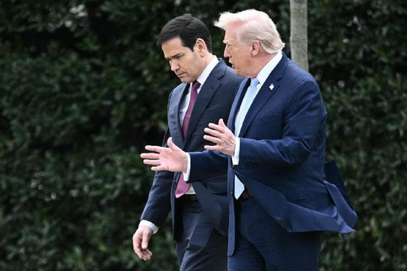 Egypt's Strategic Wisdom Shines as Regional Chaos Unfolds