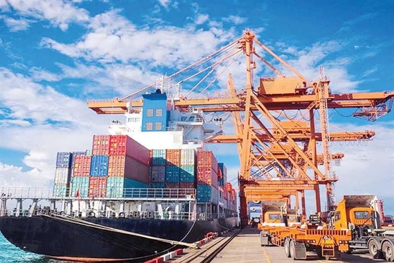 Egypt's New Industrial Leadership Drives National Growth